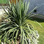 Gulyas Vendeghaz Penzion