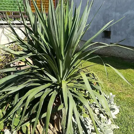 Gulyás Casa de hóspedes